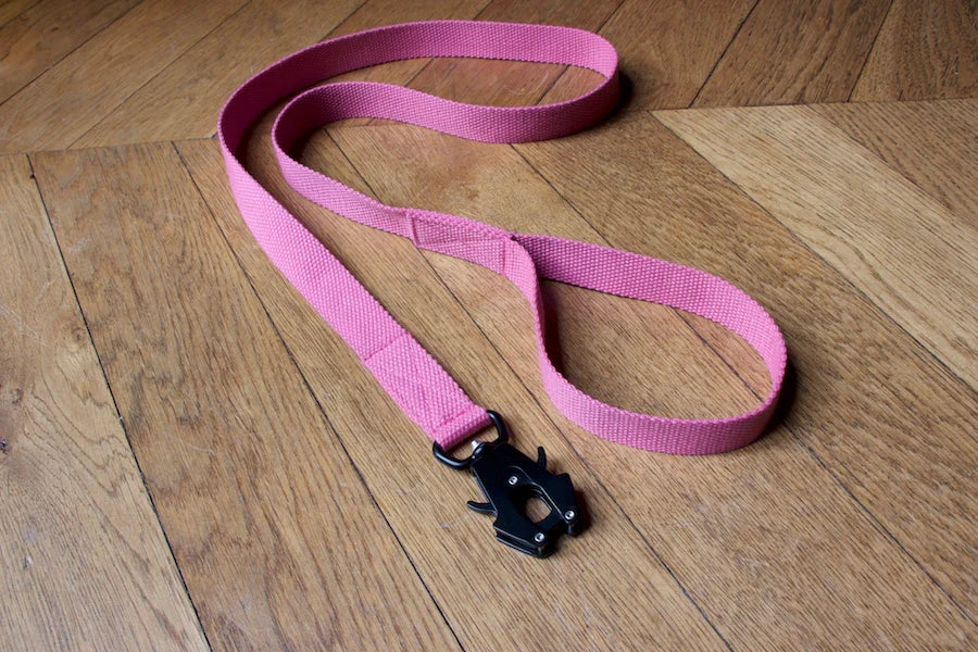 Hindquarters Pink Lead