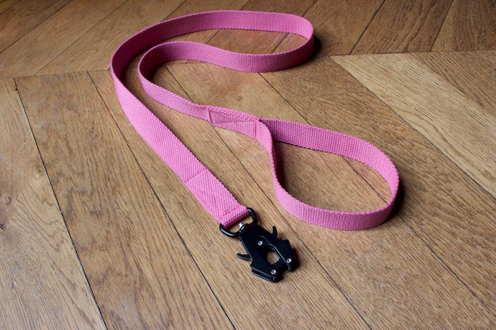 Hindquarters Pink Lead