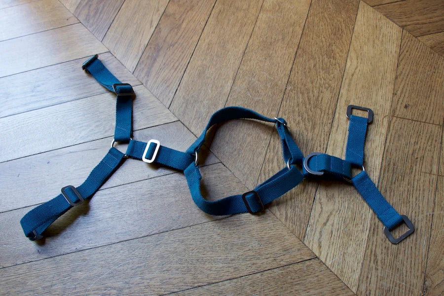 Hindquarters Puddle Blue Dog Harness