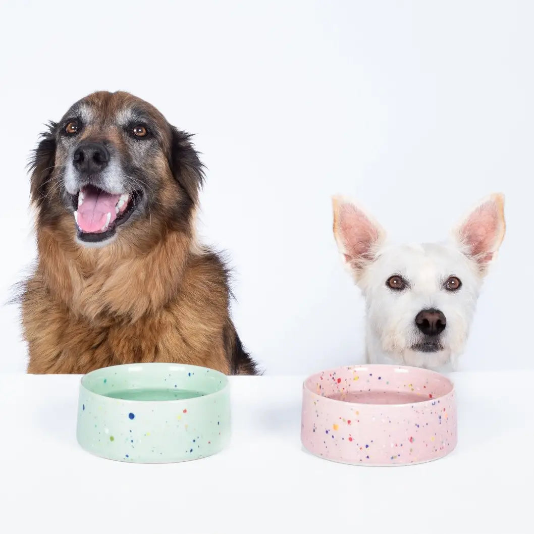 Green Dog Bowl Medium