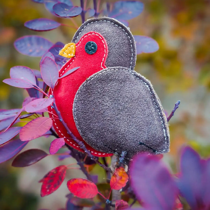 Rodney the Robin Christmas Eco Dog Toy