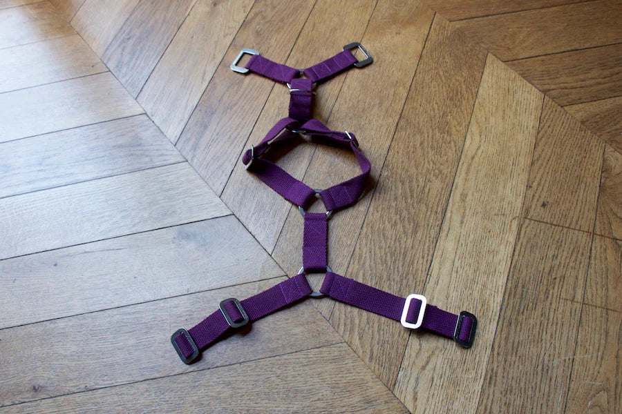 Hindquarters Plum Dog Harness