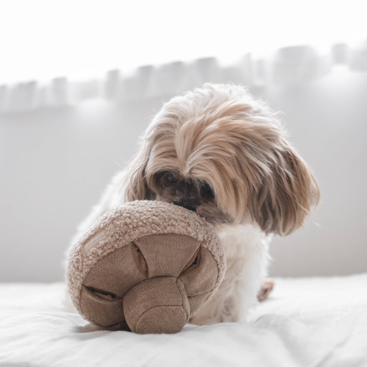 OAT NOSEWORK MUSHROOM ENRICHMENT DOG TOY: Small