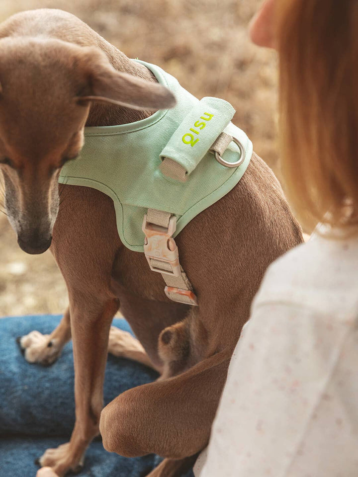 Qisu - Dog Harness | Hug Harness: / Navy