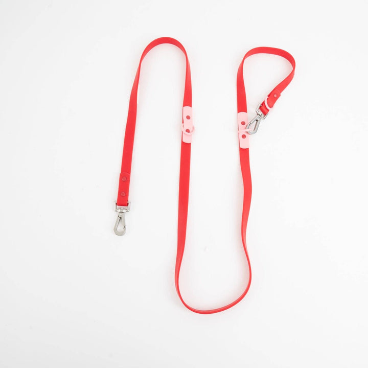 Approved by Fritz - The Fritz Leash: Standard / burgundy sun