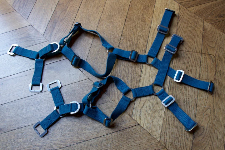 Hindquarters Puddle Blue Dog Harness