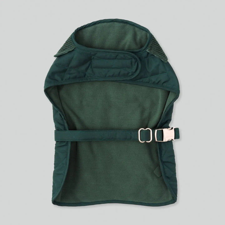 Hackett X Hugo Hudson Forest Green Quilted Dog Jacket