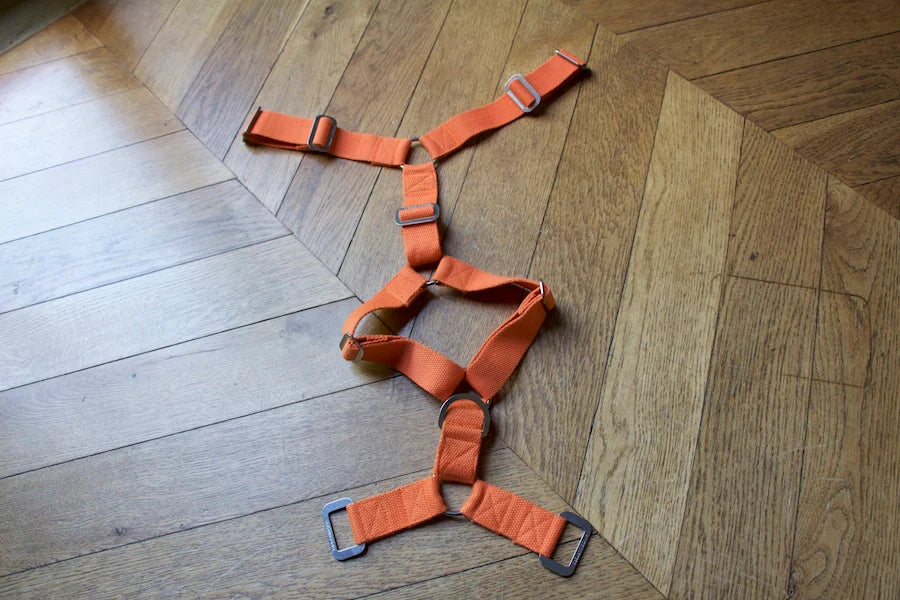 Hindquarters Orange Dog Harness