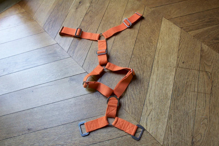Hindquarters Orange Dog Harness