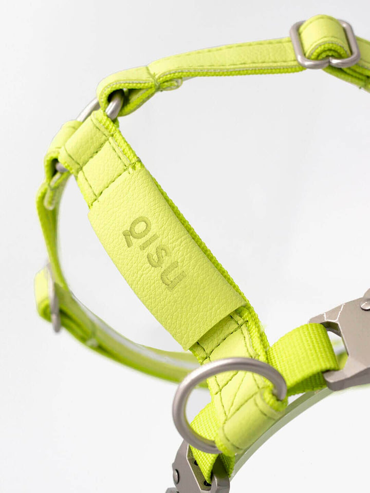Qisu - Dog Harness | Air Collection: / Kiwi