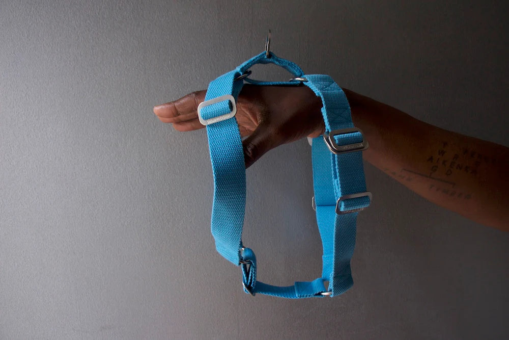 Hindquarters Sky Blue Dog Harness