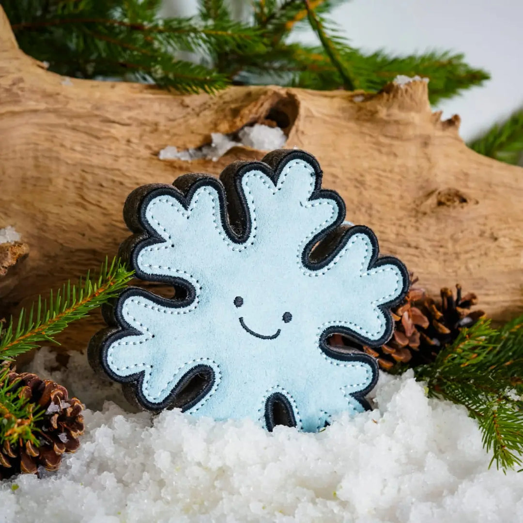 Flakey the Snowflake Shaped Eco Dog Toy