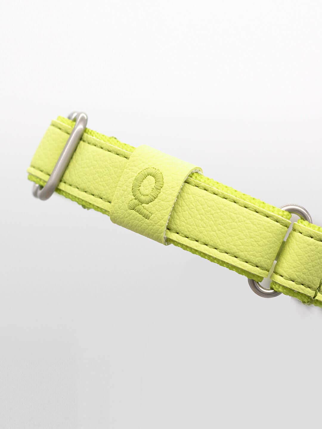 Qisu - Dog Collar | Air Collection: / Lagoon