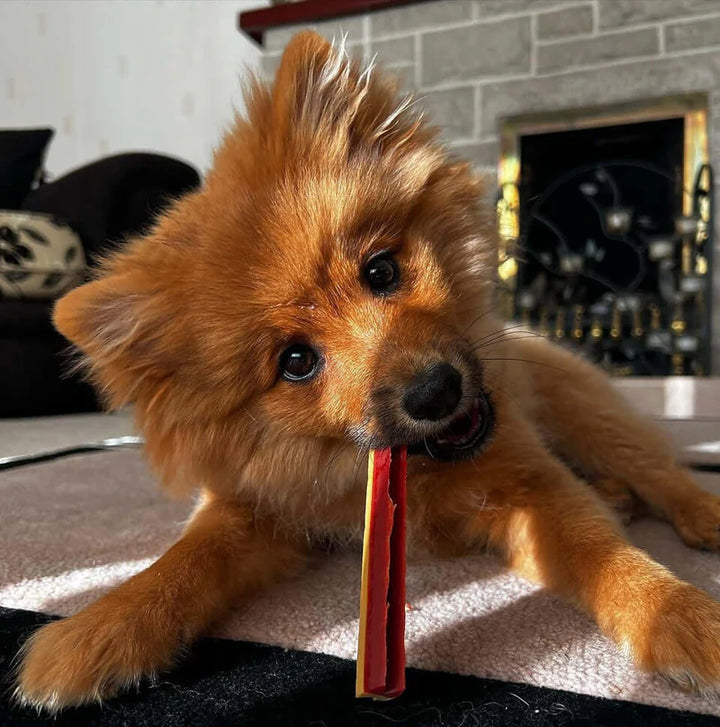 Smoky Dental Fang Chew Pouch (6 chews)