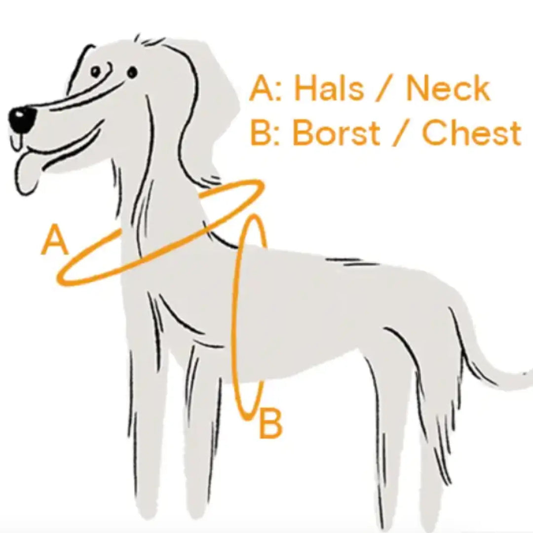 Dog Harness New - Bleu & Yellow M