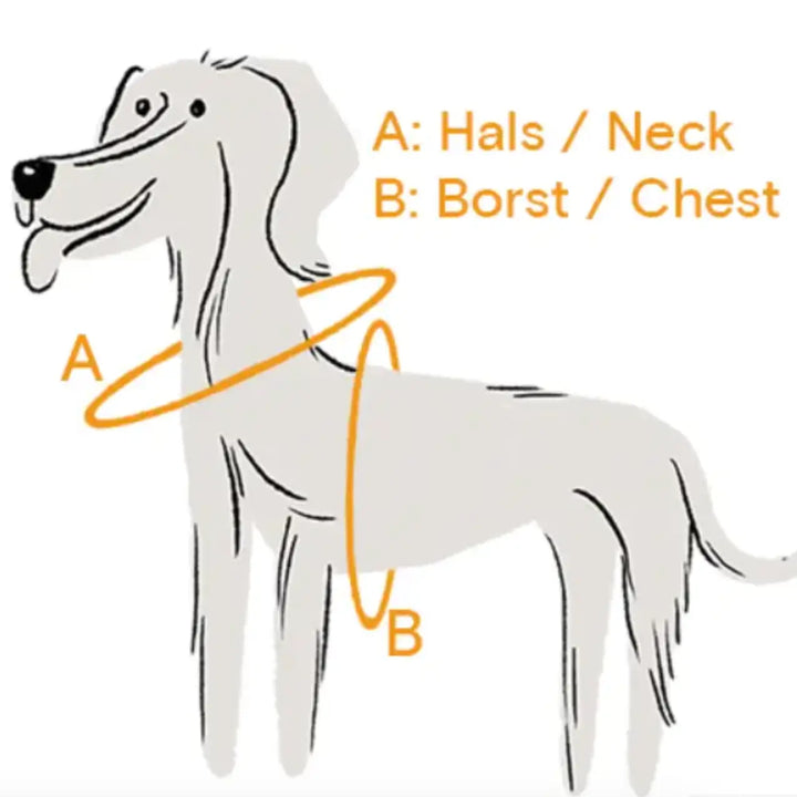 Dog Harness New - Bleu & Yellow M