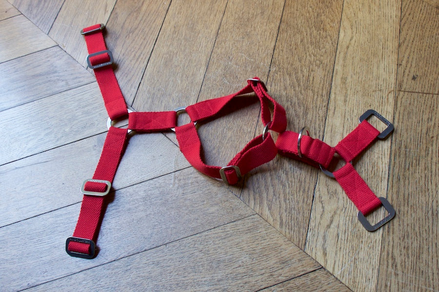 Hindquarters Red Dog Harness