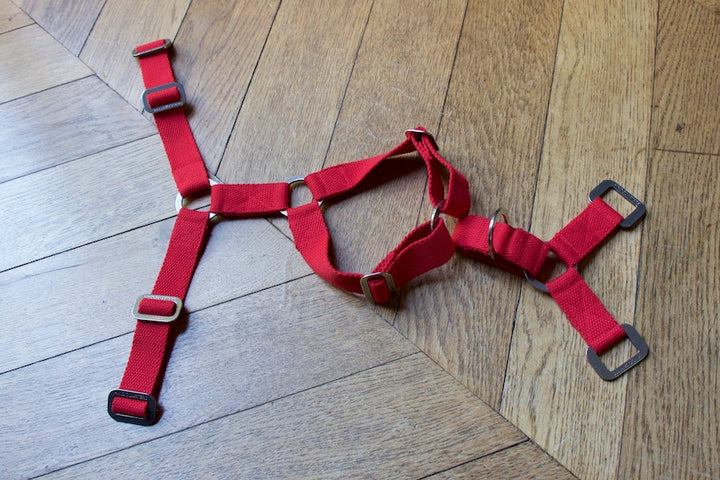 Hindquarters Red Dog Harness