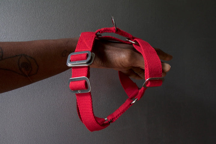 Hindquarters Red Dog Harness