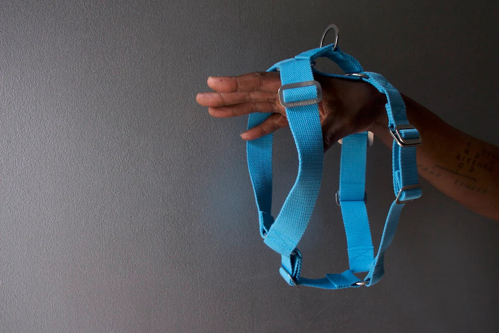 Hindquarters Sky Blue Dog Harness