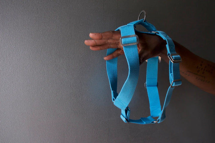 Hindquarters Sky Blue Dog Harness
