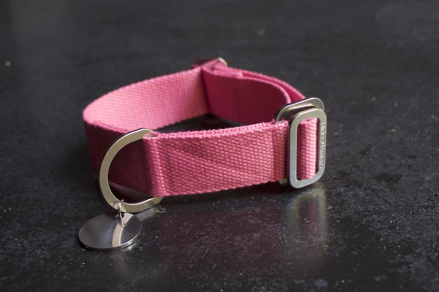 Hindquarters Pink Dog Collar