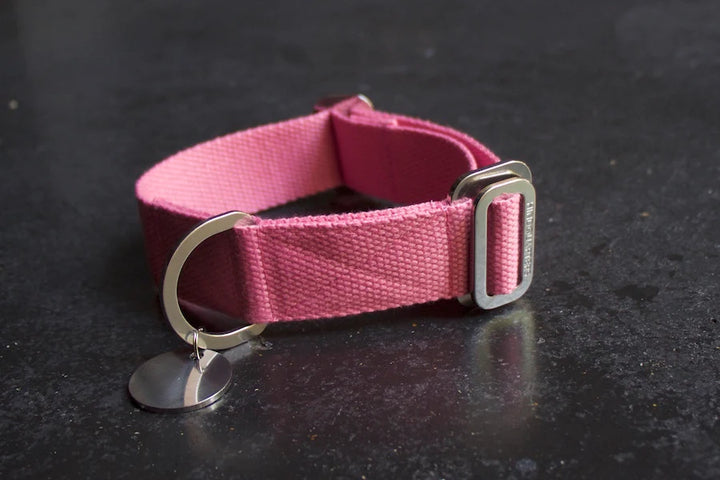 Hindquarters Pink Dog Collar