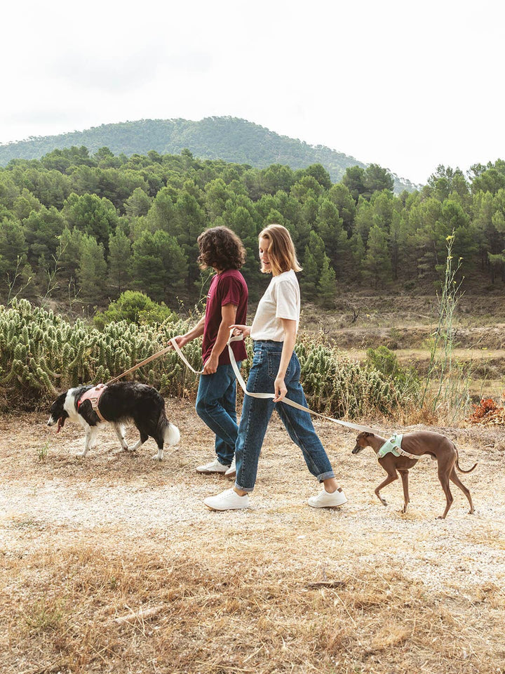 Qisu - Dog Harness | Hug Harness: / Navy