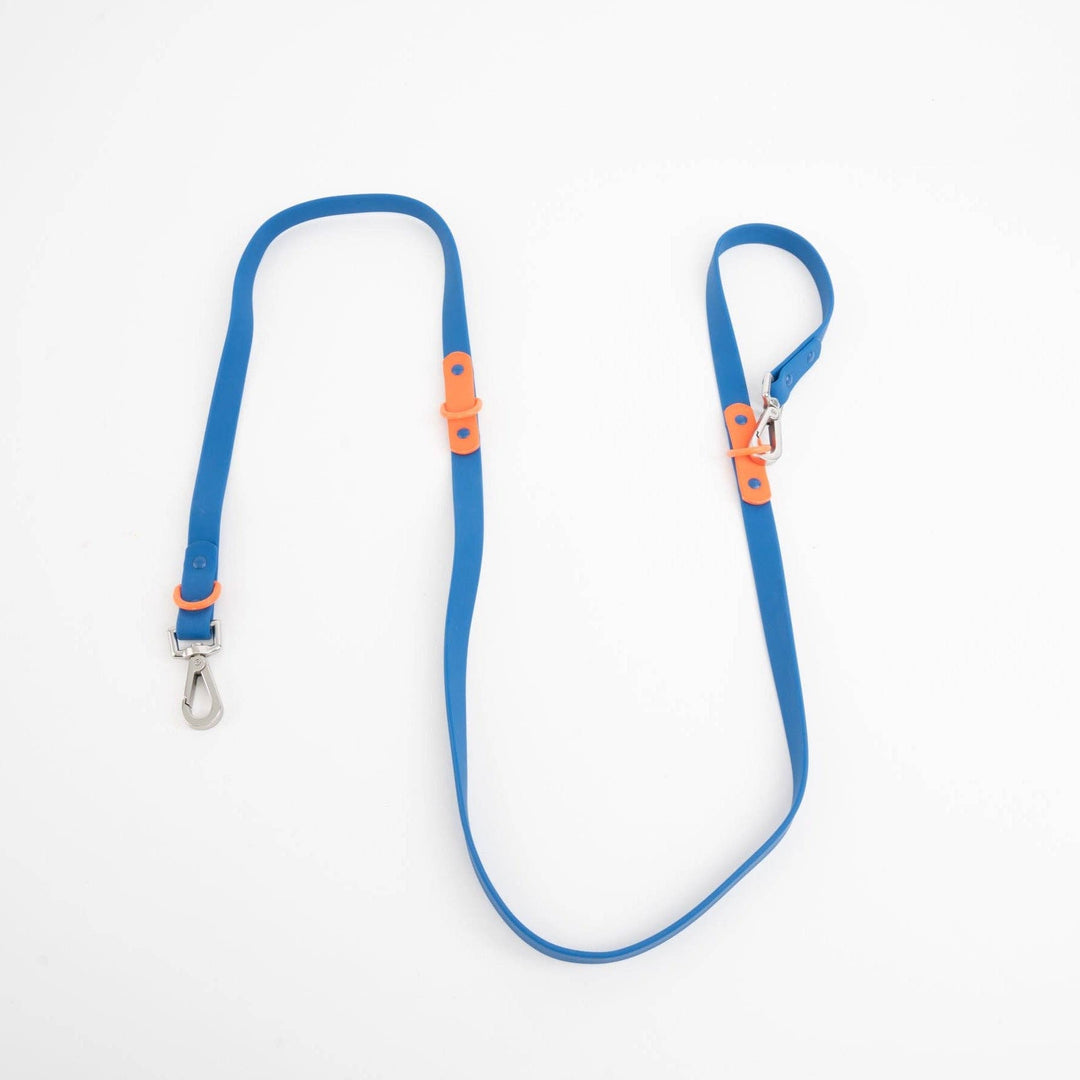 Approved by Fritz - The Fritz Leash: Standard / burgundy sun