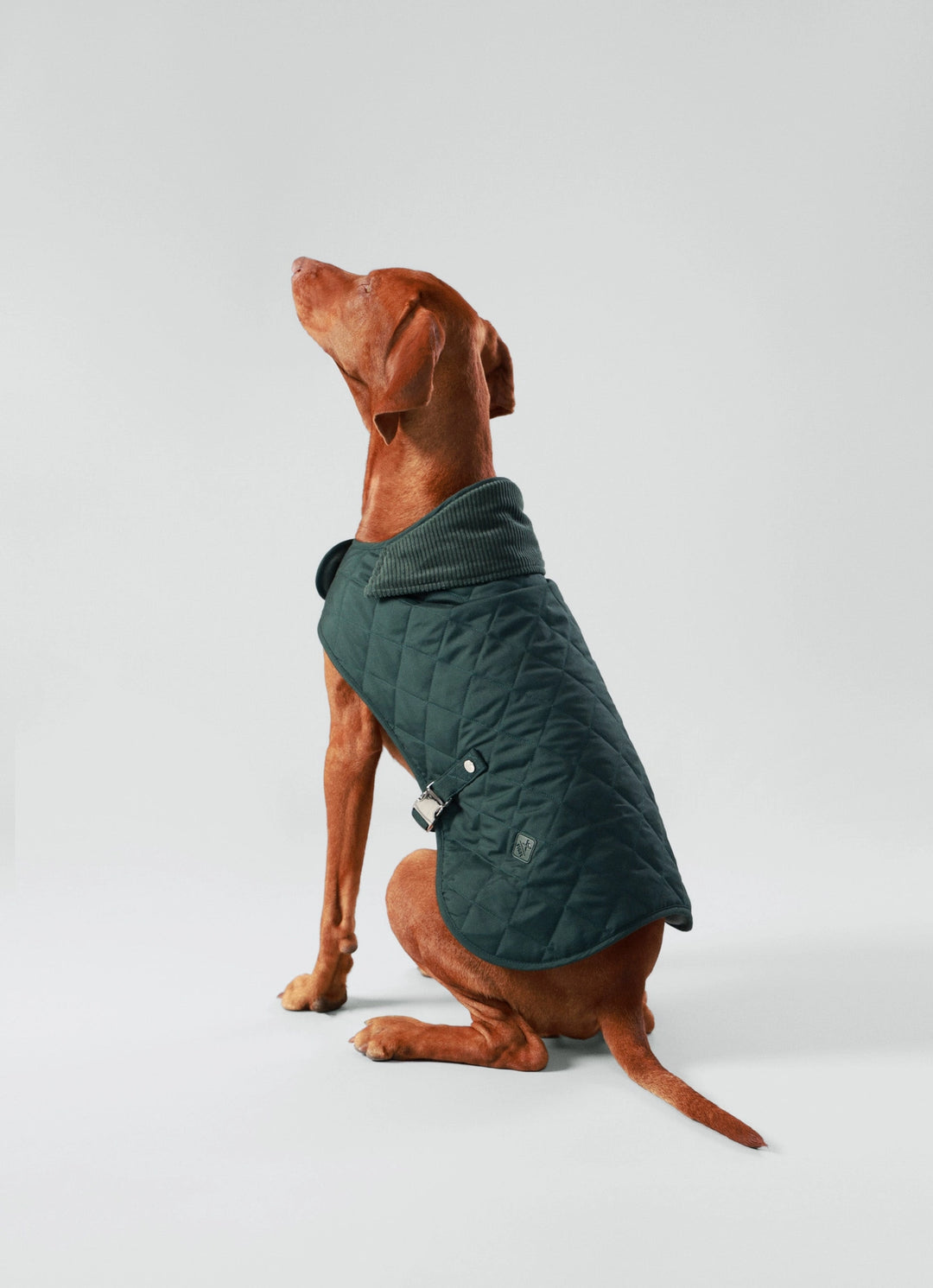 Hackett X Hugo Hudson Forest Green Quilted Dog Jacket
