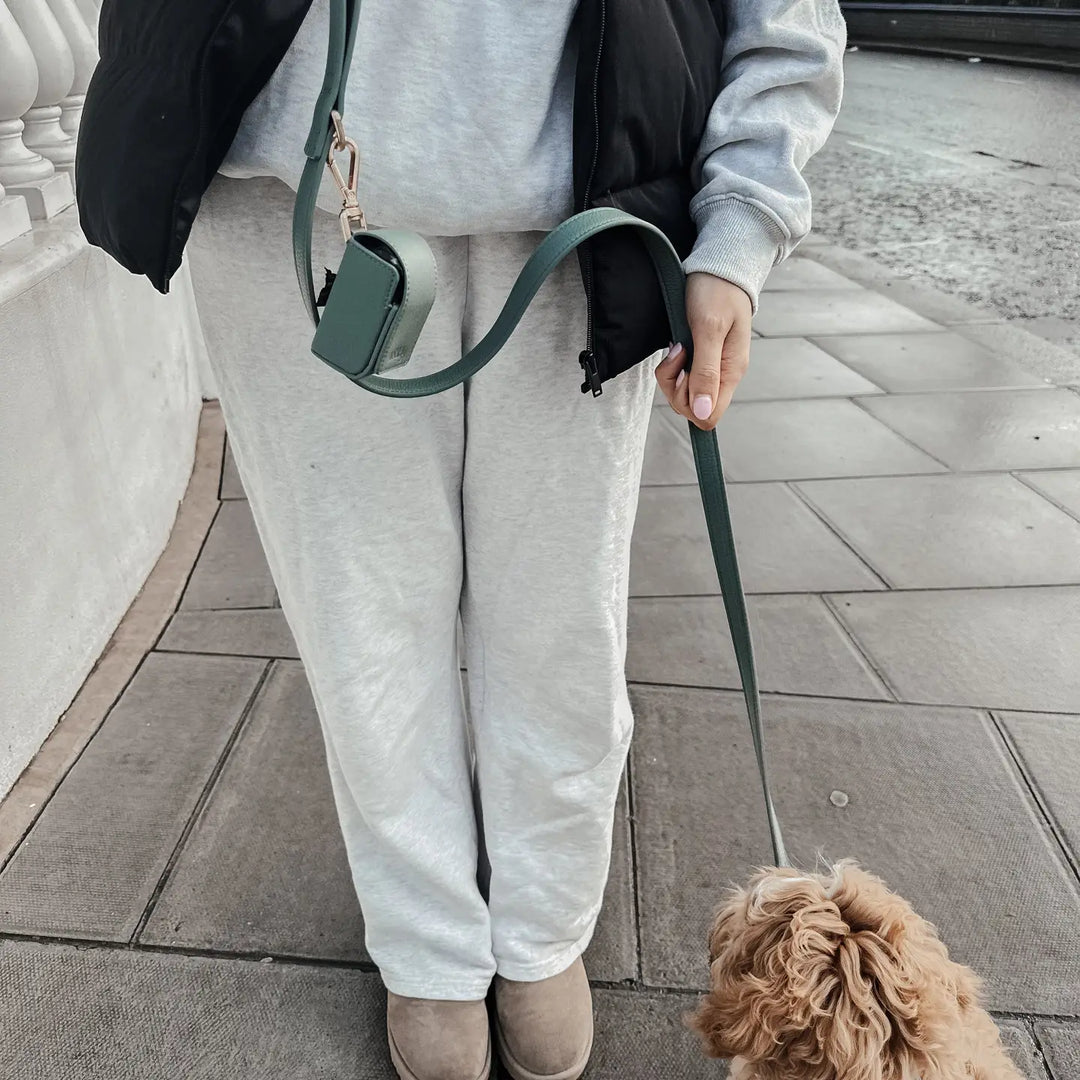 ByTeddy Matcha┃Studio Lead