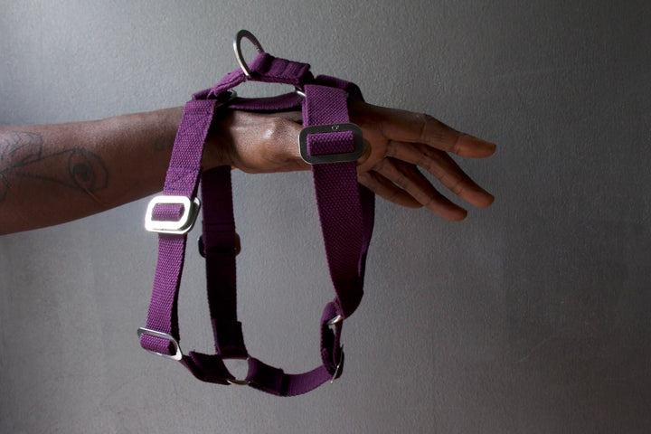 Hindquarters Plum Dog Harness