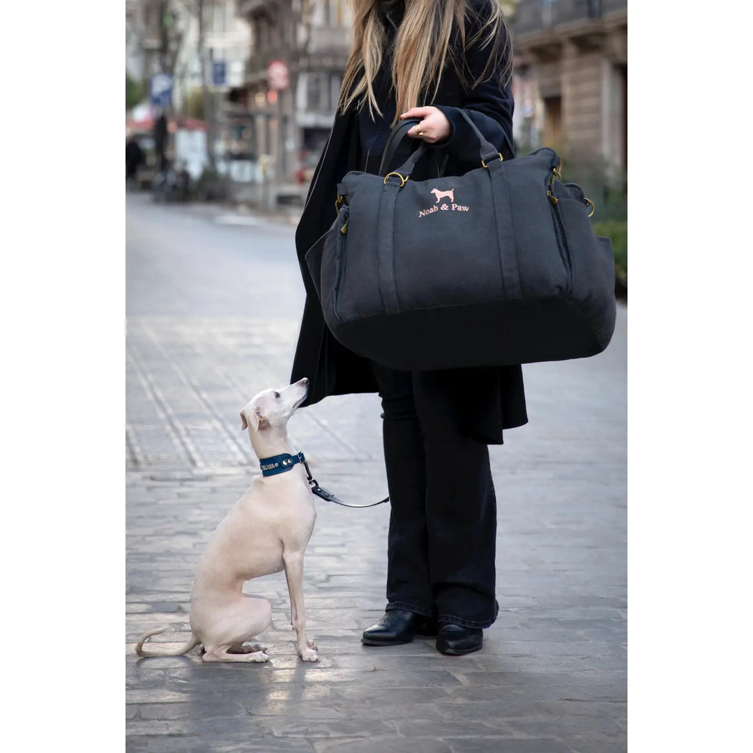 Dog Car Seat Carrier Orthopedic Crushed Foam, Charcoal, Canvas