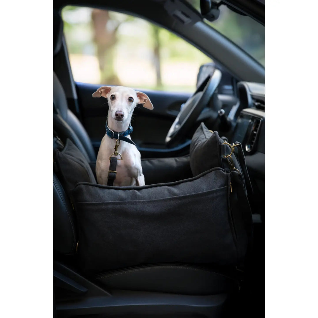 Dog Car Seat Carrier Orthopedic Crushed Foam, Black, Canvas