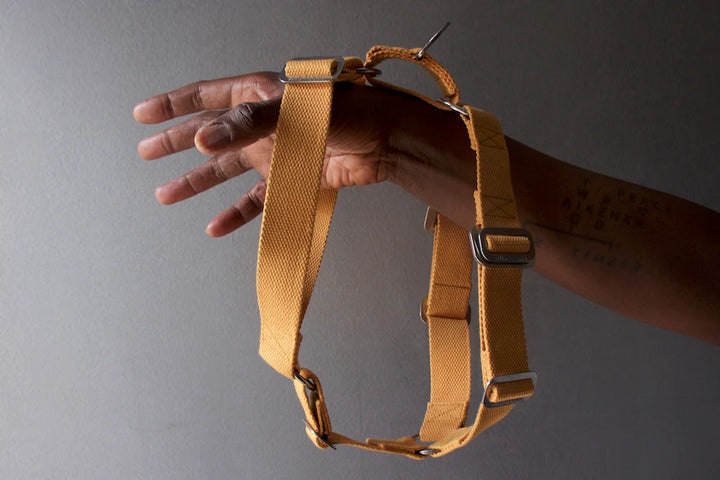 Hindquarters Mustard Dog Harness