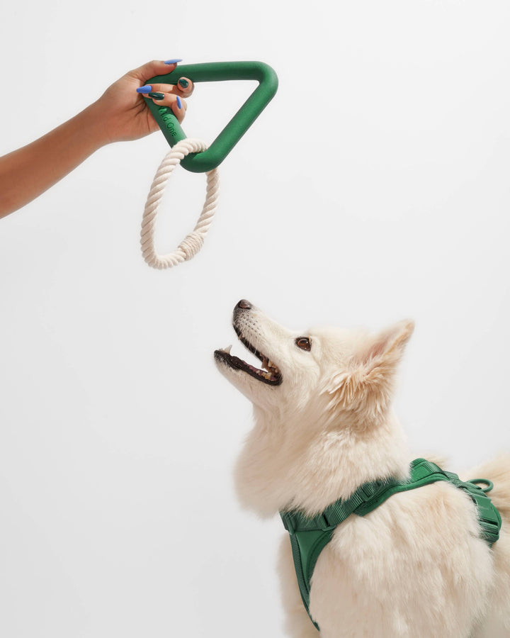 Wild One - Triangle Tug Dog Chew Toy: STANDARD