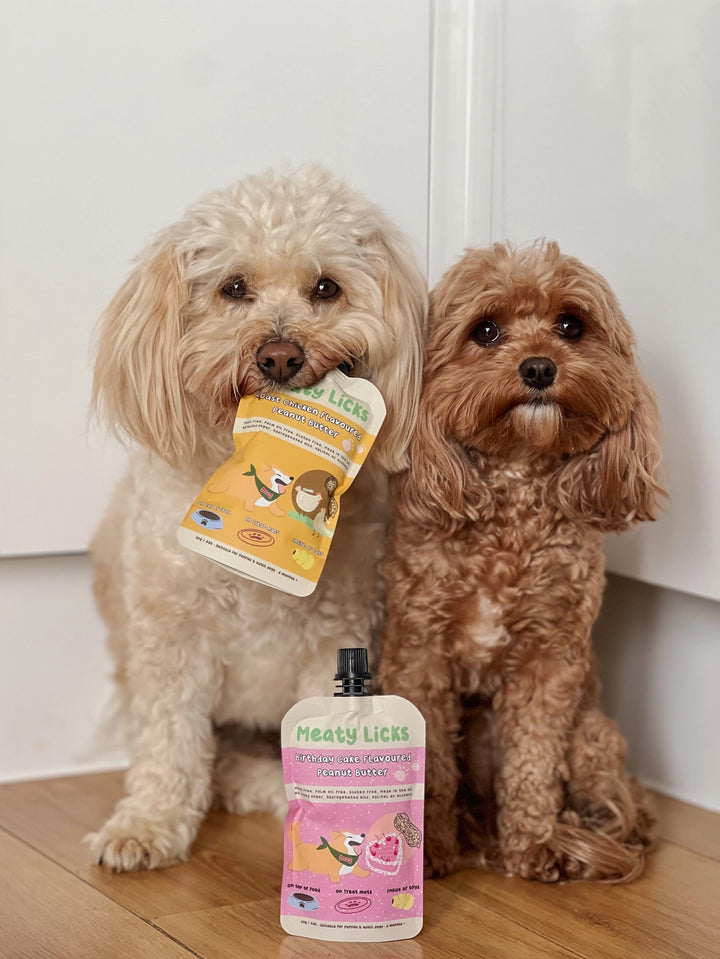 Roast Chicken Flavoured Peanut Butter Pouch For Dogs