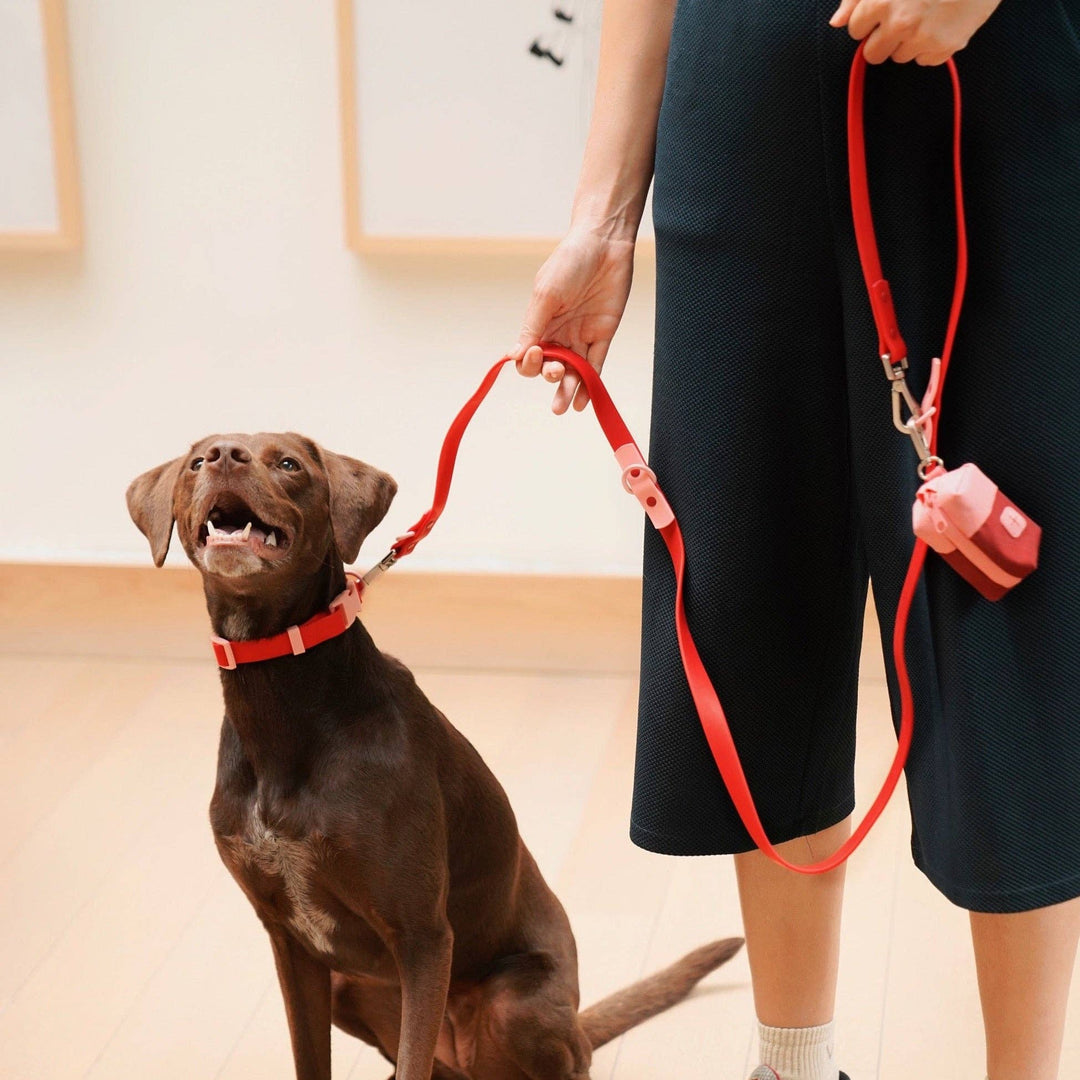 Approved by Fritz - The Fritz Leash: Standard / burgundy sun