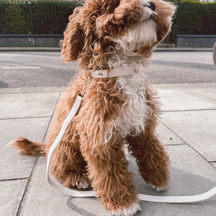 ByTeddy Marshmallow Bouclé Collar