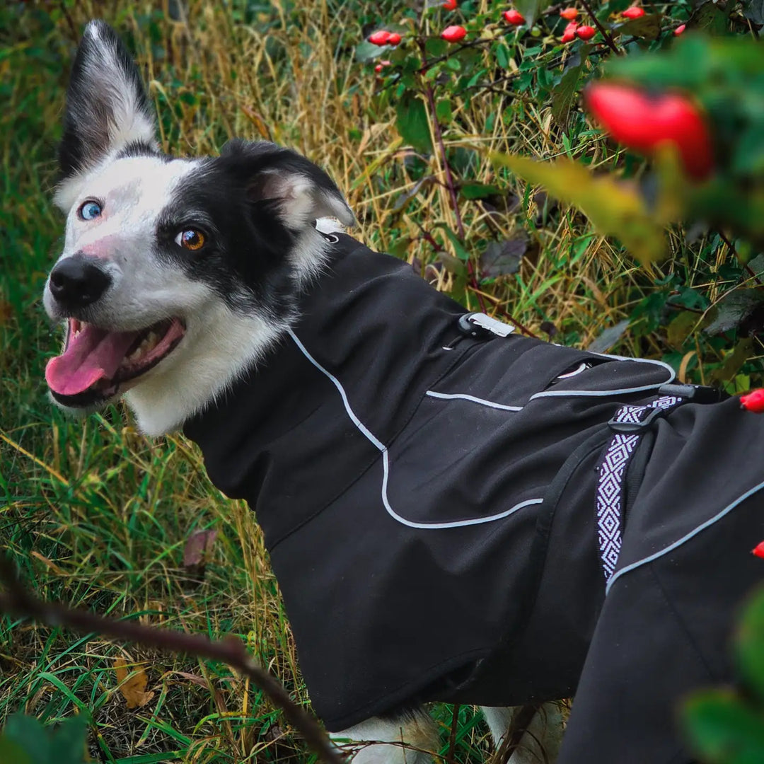 Rain-Defender Dog Coat | Black Waterproof Softshell Dog Coat