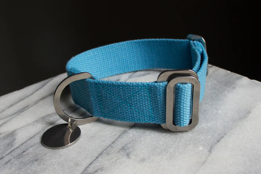 Hindquarters Sky Blue Dog Collar