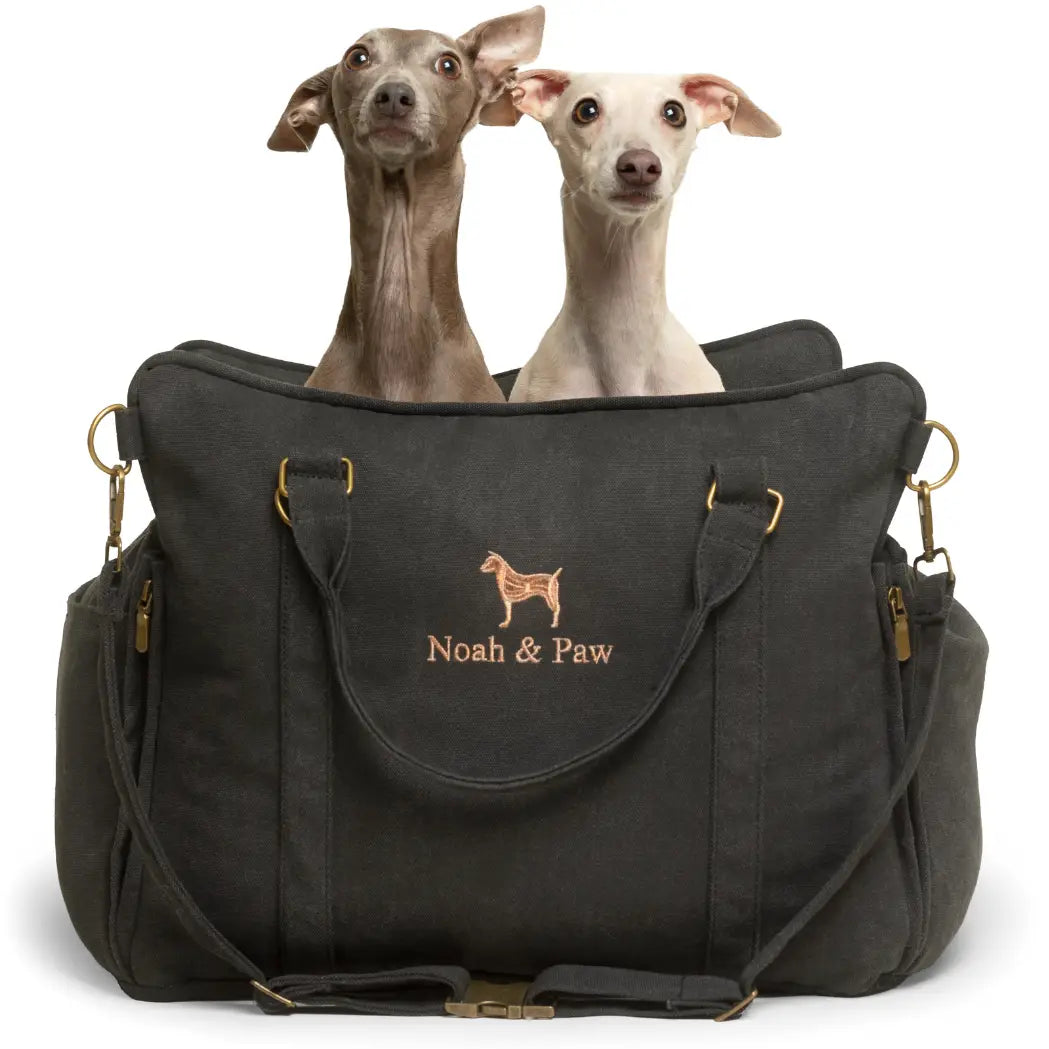 Dog Car Seat Carrier Orthopedic Crushed Foam, Charcoal, Canvas