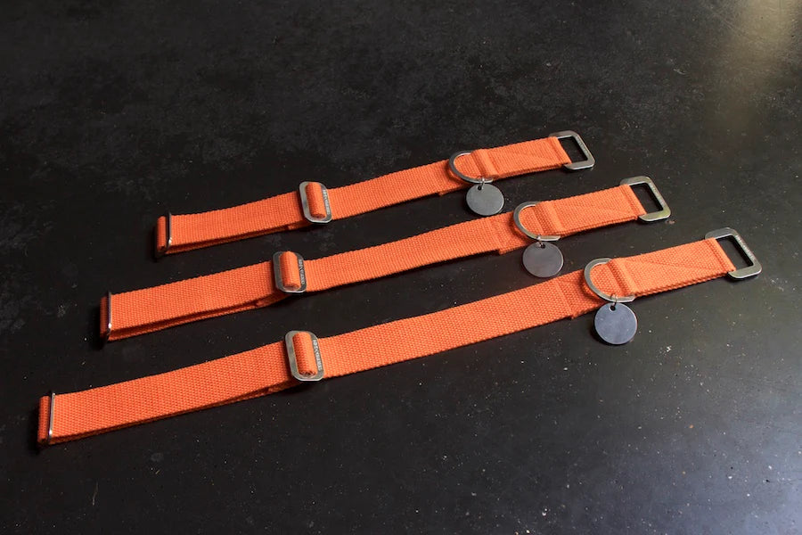 Hindquarters Orange Dog Collar