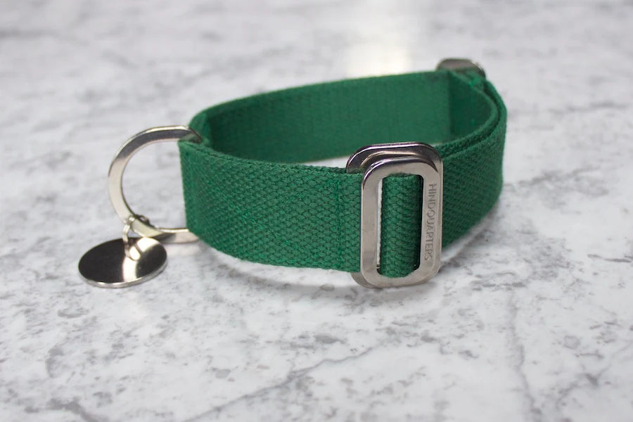 Hindquarters Green Dog Collar