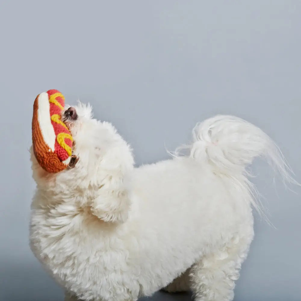 Hand Knit Hot Dog Dog Toy