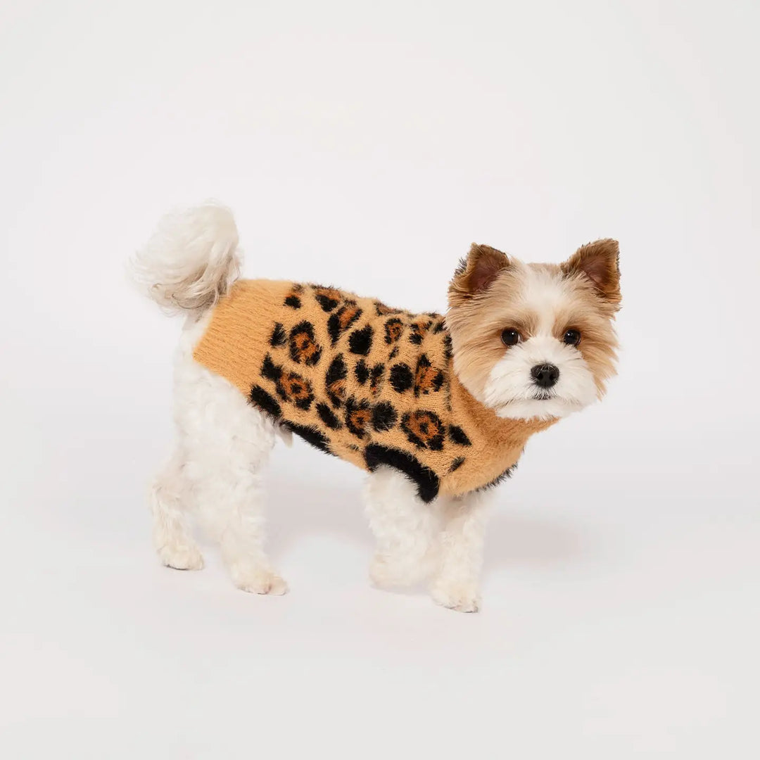 Leopard Sweater