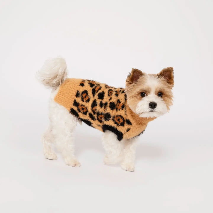 Leopard Sweater
