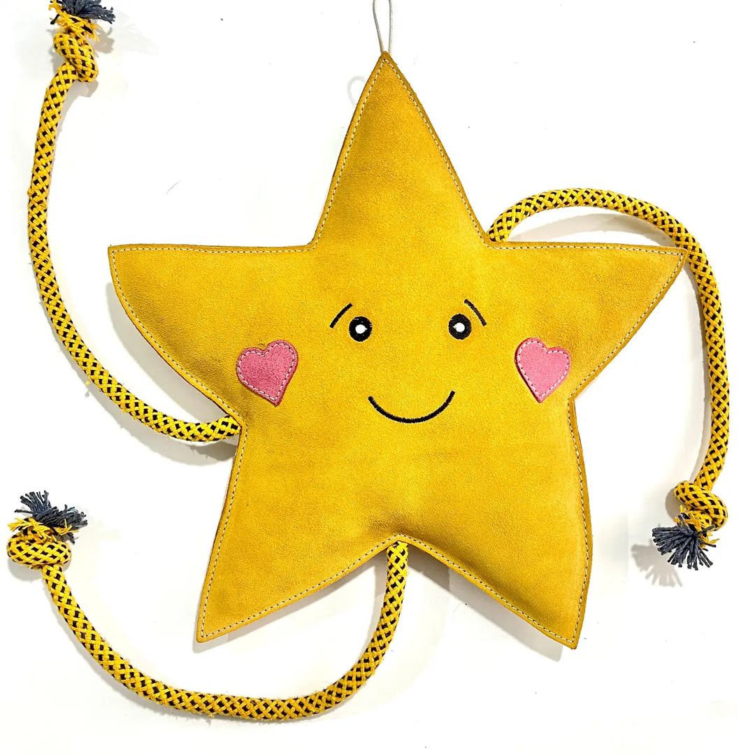 Star XL Dog and Horse Eco Toy