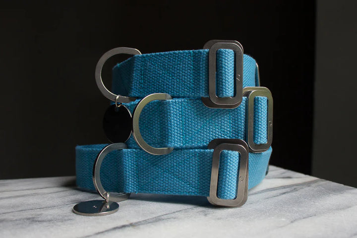 Hindquarters Sky Blue Dog Collar