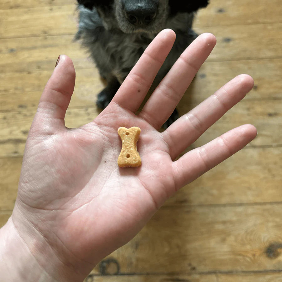 BECO Cashew Dog Treats with Pumpkin Seed & Carrot